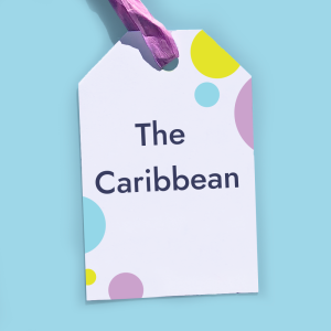 The Caribbean BookBubble Bookcase